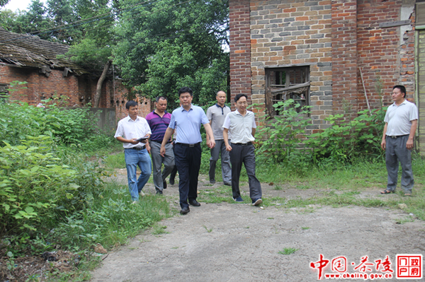 彭新军到虎踞镇调研指导工作