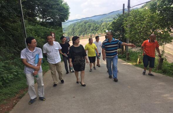 副区长程轶辉带队检查大京安全生产情况