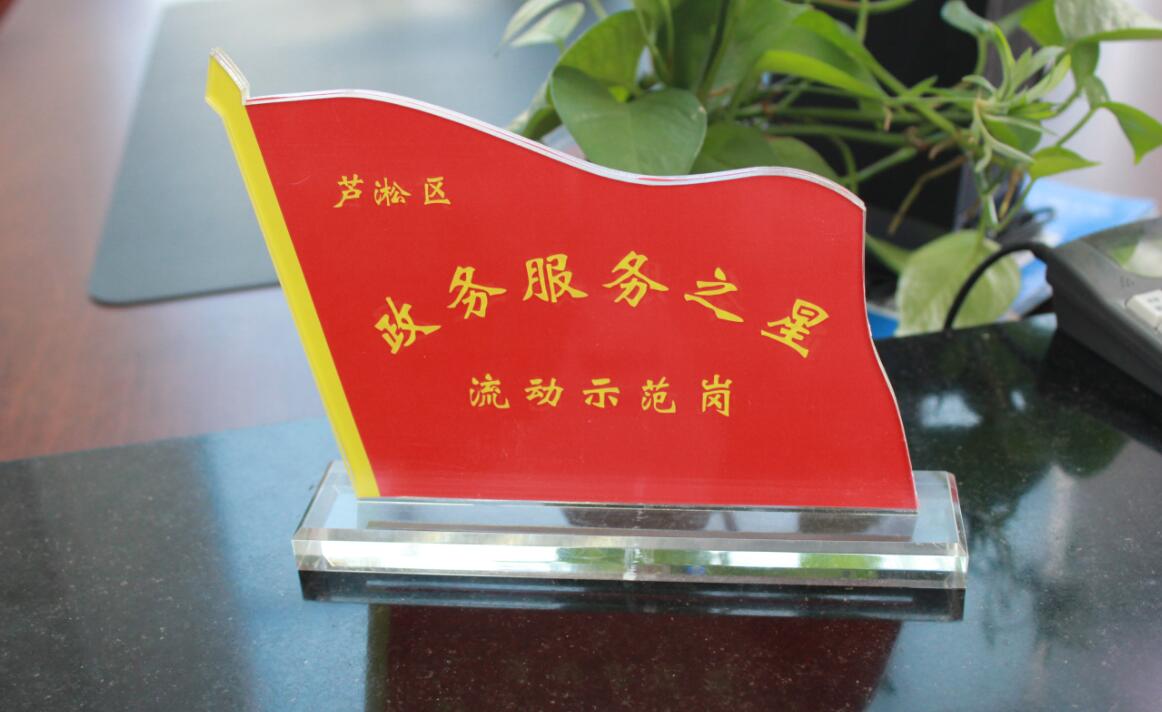 芦淞区2016年度首届“政务服务之星”评选结果出炉