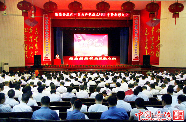 茶陵县召开庆祝中国共产党成立95周年暨表彰大会