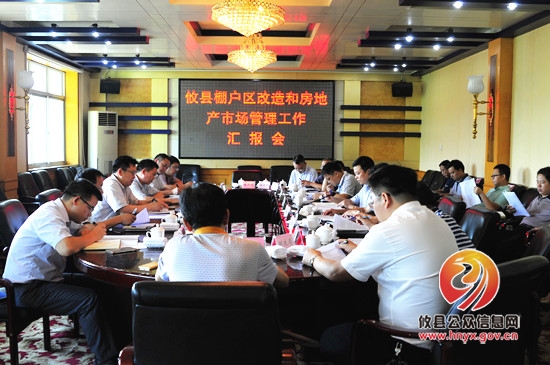 副市长谭可敏来攸调研棚改和房地产市场管理工作