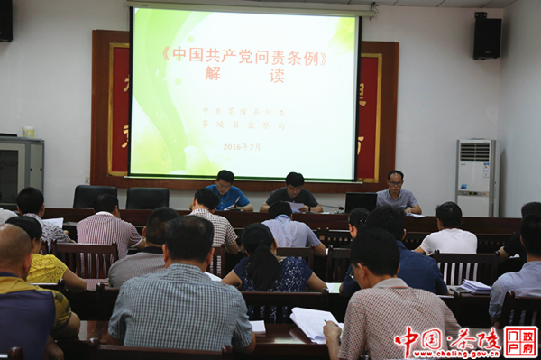 茶陵纪委干部集中学习《问责条例》