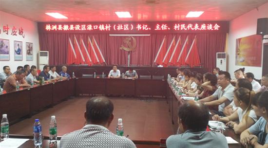 渌口镇召开撤县设区各界人士座谈会