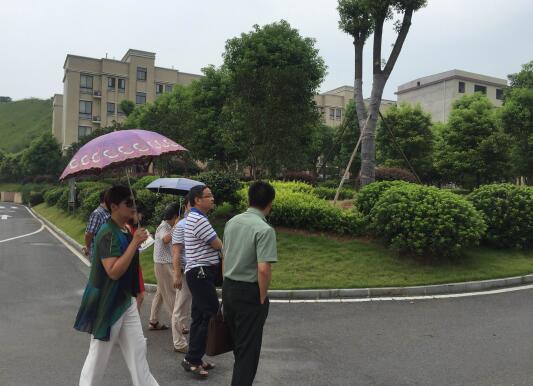 市园林局现场验收我区市级园林式单位（小区）