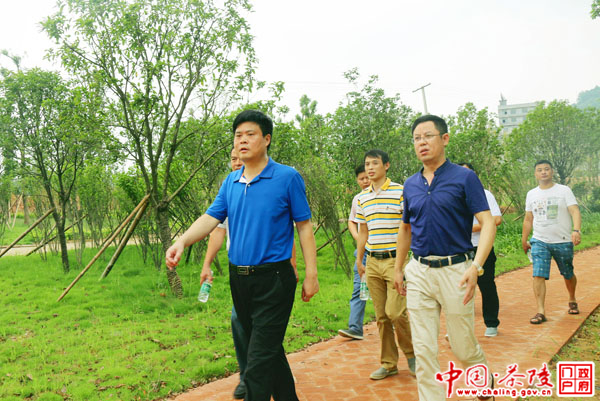 彭新军视察指导洣水风光带项目建设