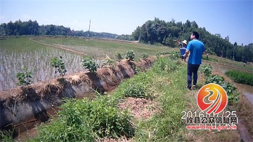 攸县法院送达小组系列报道（四）：不惧高温 倾力送达