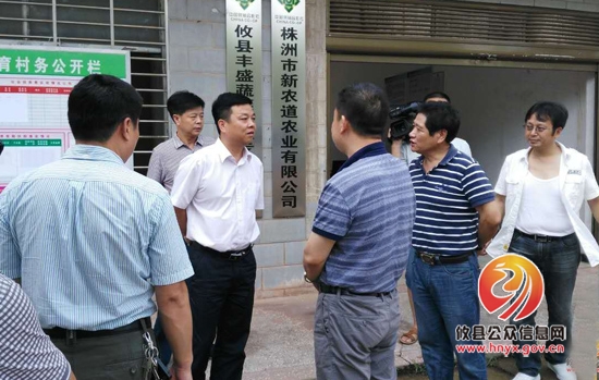 胡湘之到江桥街道杨木港村检查指导扶贫攻坚工作