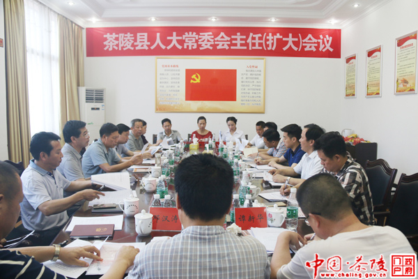 茶陵县人大常委会主任（扩大）会议成员视察物业管理工作
