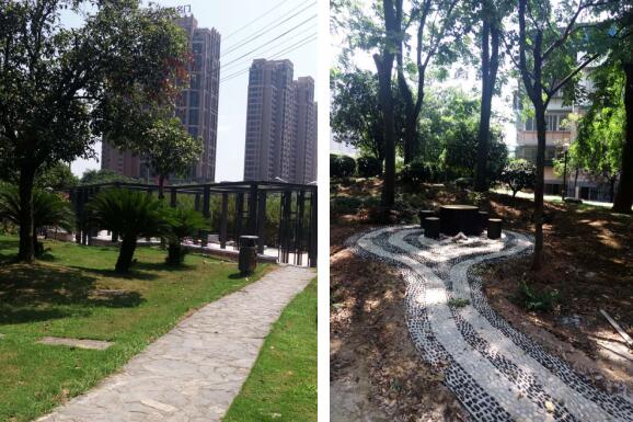芦淞区全力推进小游园建设 打好城市绿荫三年行动开局战