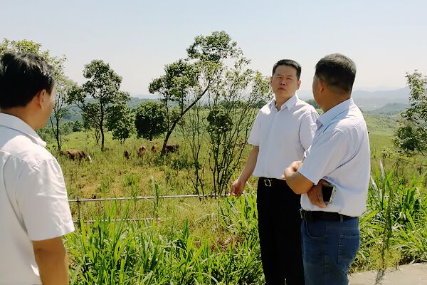 郑志富到林丰农业公司调研