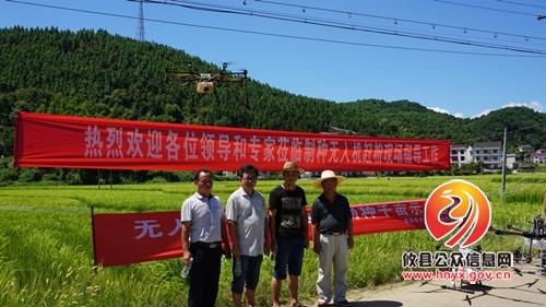 杂交水稻制种无人机“赶粉”在石羊塘千亩制种基地首试成功
