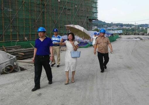 区城建局督察新建公共租赁住房建设项目