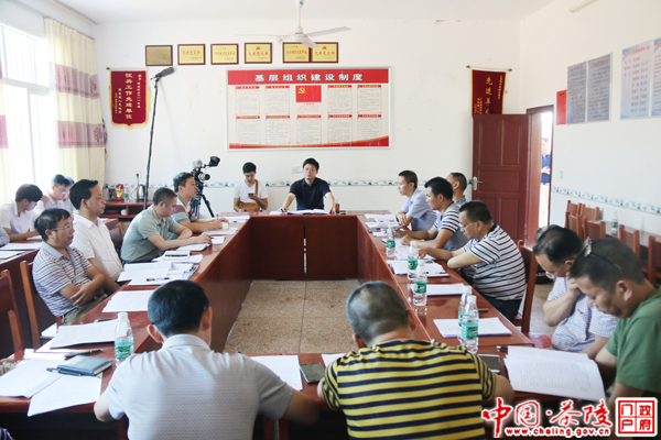 彭新军：坚持“五个确保” 实现脱贫攻坚落地见效