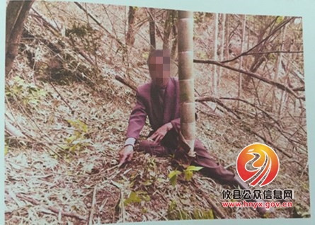 一时贪念捕水鹿　后悔莫及终获刑