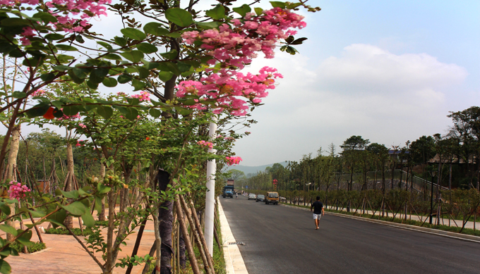 北欧小镇F道路一期竣工通车