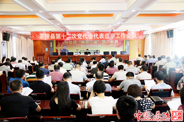 茶陵县第十二次党代会代表选举工作会议召开