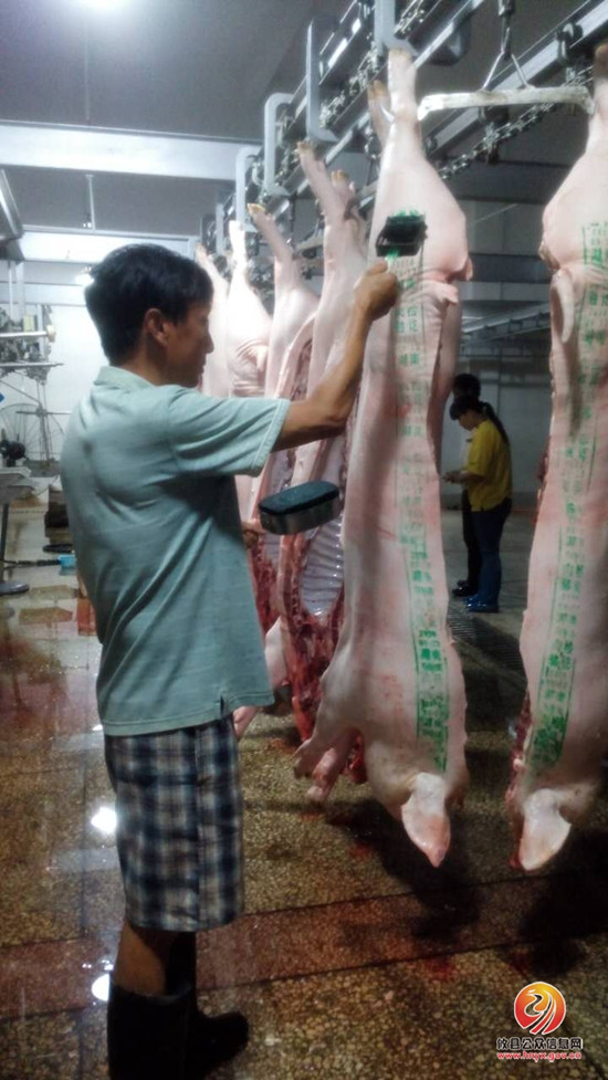 网岭镇动物防疫站严把“三关”　确保猪肉产品安全上市
