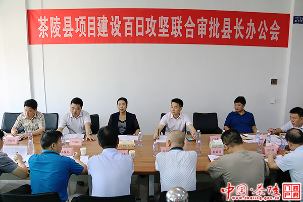 茶陵召开项目建设百日攻坚联合审批县长办公会