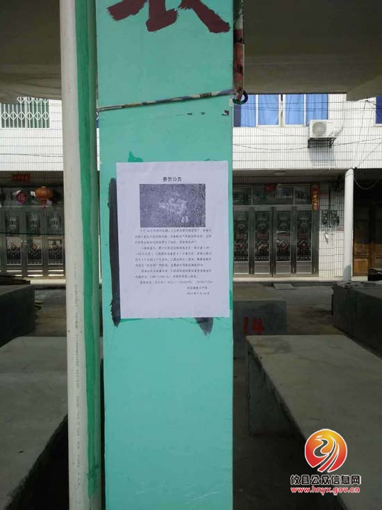 网岭镇动物防疫站大力整治乱抛乱弃病死畜禽行为