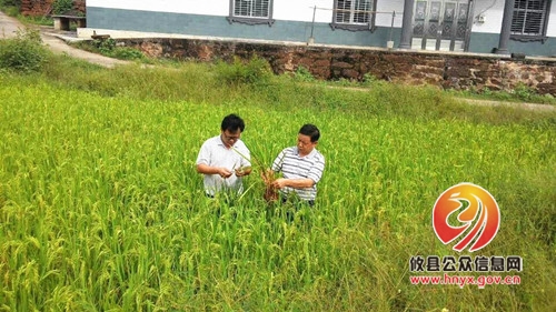 省植保站副站长郭海明一行来攸督导中晚稻病虫防控工作