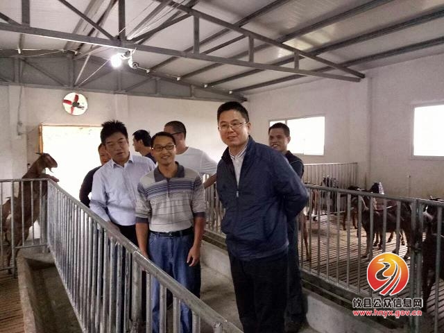 省畜牧水产局领导来攸调研指导草食牧业发展
