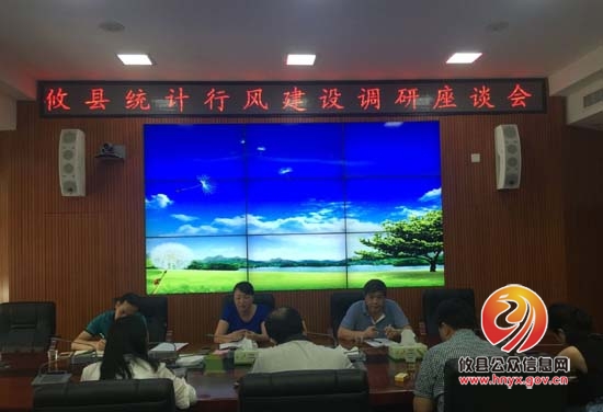 市统计局来攸县调研统计行风建设