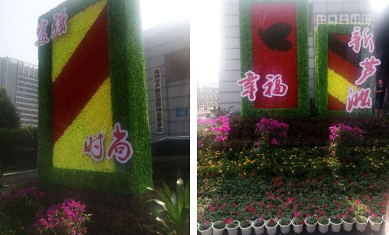 区城建局摆放鲜花喜迎党代会