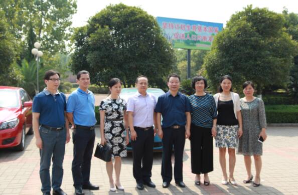 芦淞区创建“依法行政示范区”获省检查组点赞
