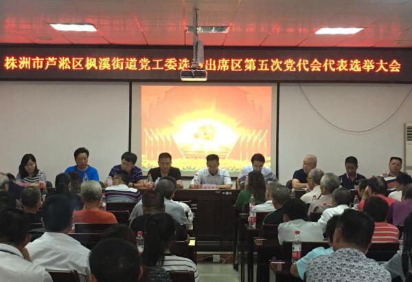 枫溪街道党工委召开出席区第五次党代会代表选举大会