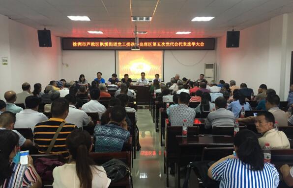 枫溪街道党工委召开出席区第五次党代会代表选举大会