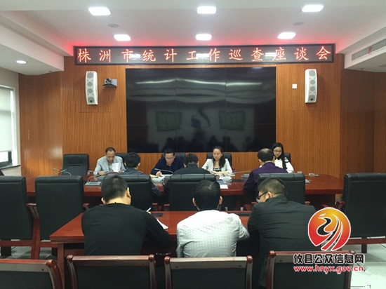 市统计局副局长姚应龙来攸巡查统计工作