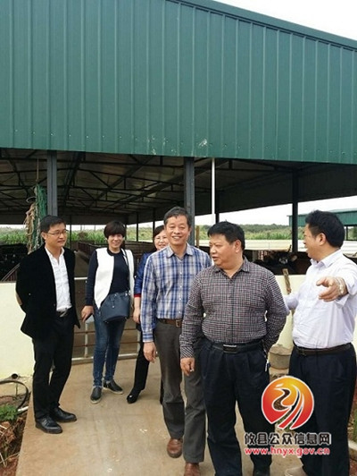 省畜牧水产局总工程师邱伯根一行来攸调研草食牧业发展情况