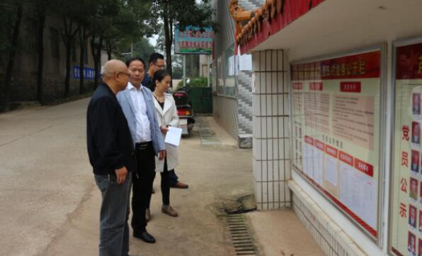 湖南日报株洲分社社长周怀立到董家塅街道调研党建工作