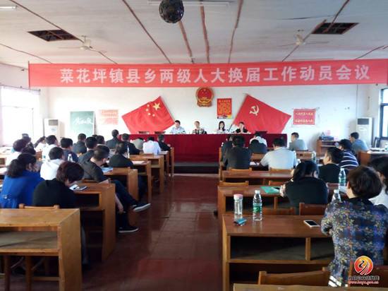 菜花坪镇召开基层党建七项重点工作调度会