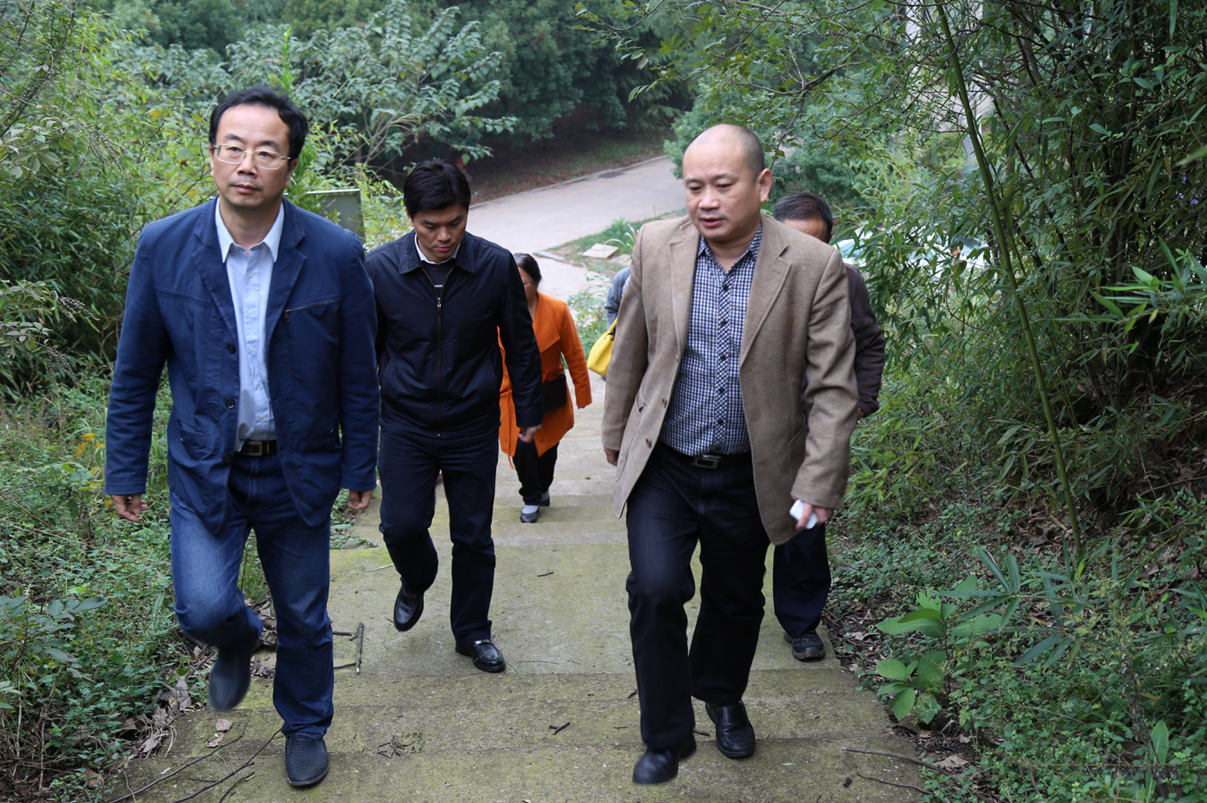 市人大常委会到天元区开展贯彻落实《中华人民共和国文物保护法》执行情况调研