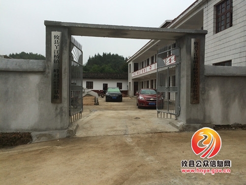 丫江桥镇：推进产业扶贫，实现精准带动