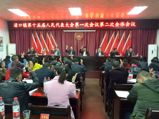 渌口镇第十五届人民代表大会第一次会议胜利召开
