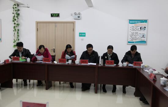 省卫计委验收芦淞区流动人口基本服务均等化示范街道创建项目
