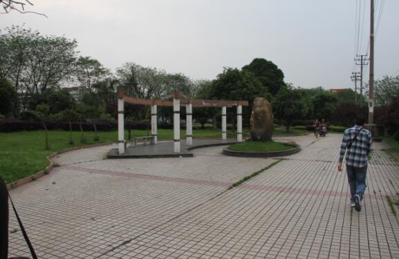 街头小游园 旧貌换新颜