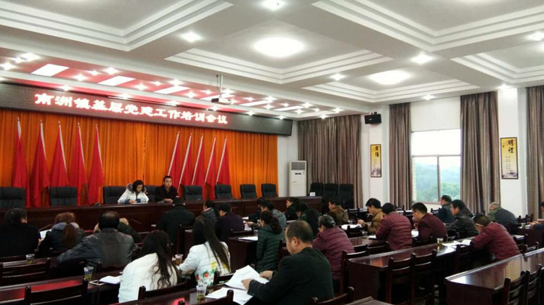 南洲镇召开党建培训工作会议