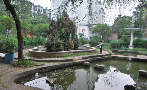 街头小游园 旧貌换新颜