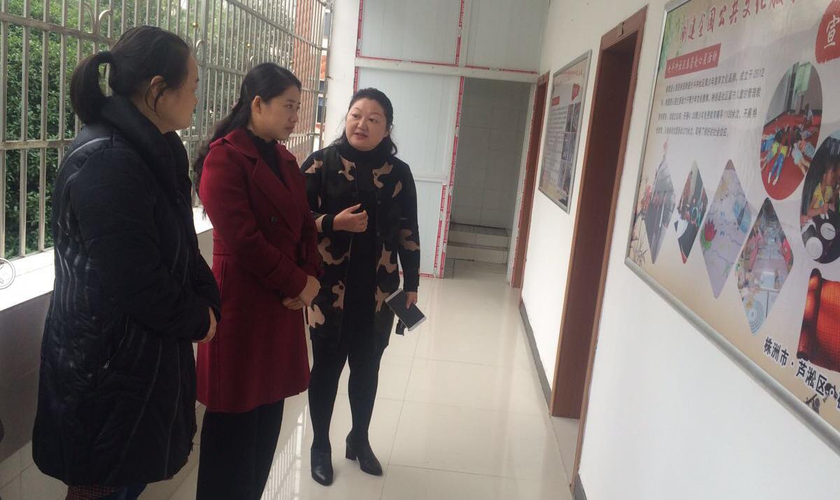 市妇联杨琼副主席一行到芦淞区调研