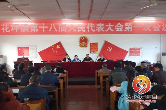 菜花坪镇第十八届人民代表大会第一次会议胜利召开