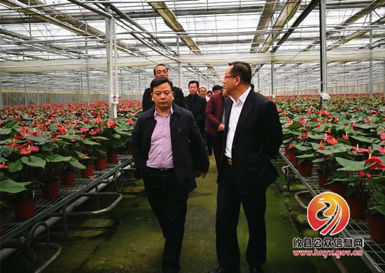 市委副书记雷绍业来攸调研