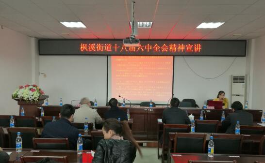 芦淞宣讲团到枫溪街道宣讲十八届六中全会精神