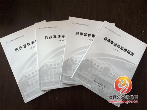 攸县法院：用团队智慧打造规范司法“行为指南”