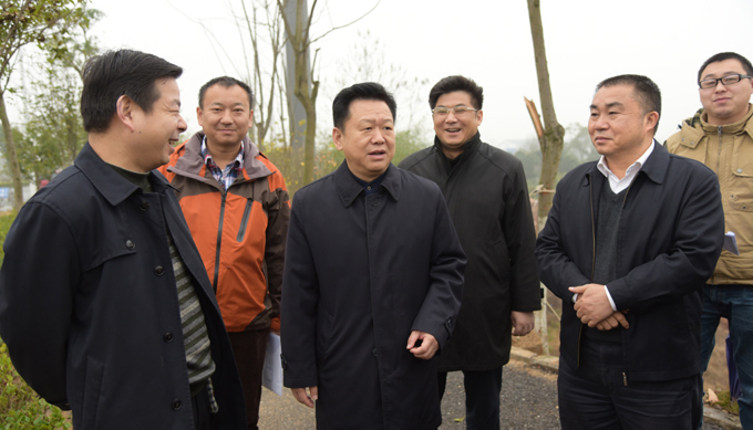 副市长谭可敏来示范区调研时指出云龙路网日臻完善 城区美丽日益彰显