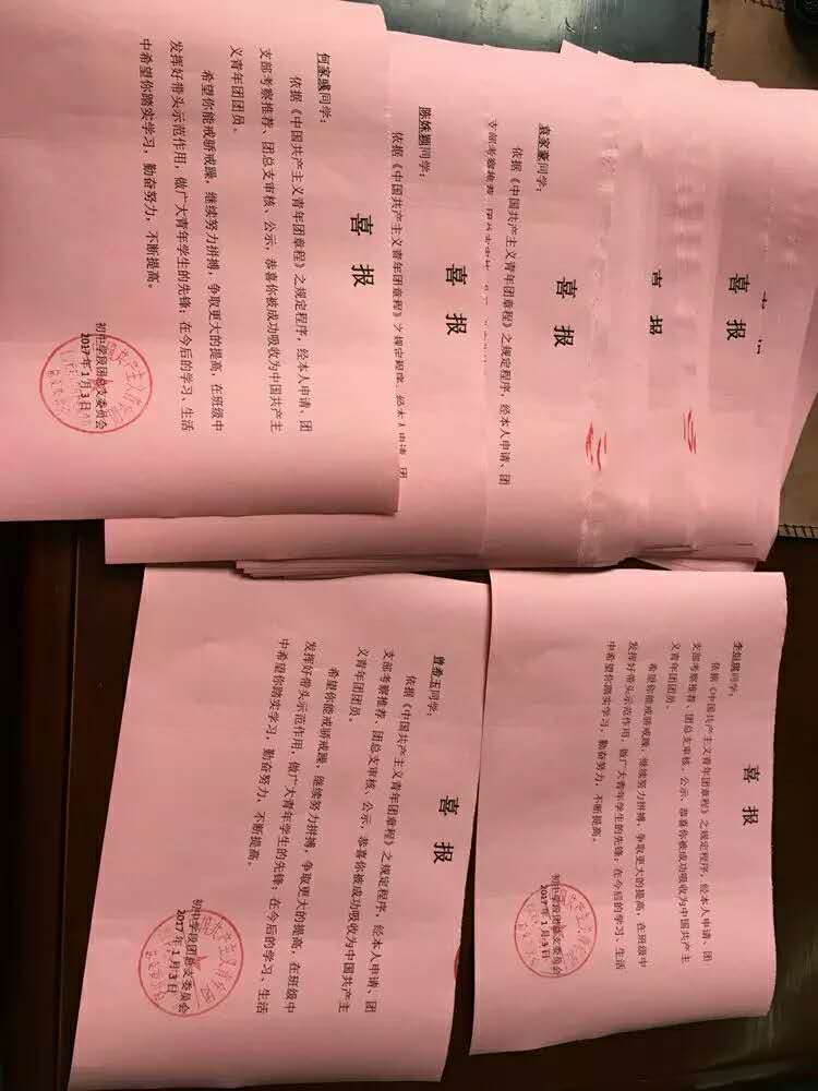 【新区青动】2016年度北师大株洲附校初中学段共青团总支工作回顾