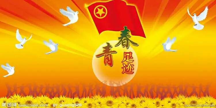 【新区青动】2016年度北师大株洲附校初中学段共青团总支工作回顾