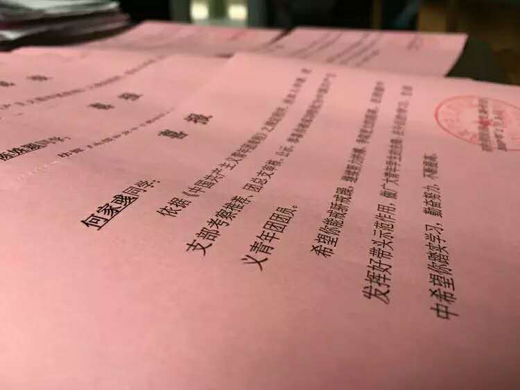 【新区青动】2016年度北师大株洲附校初中学段共青团总支工作回顾